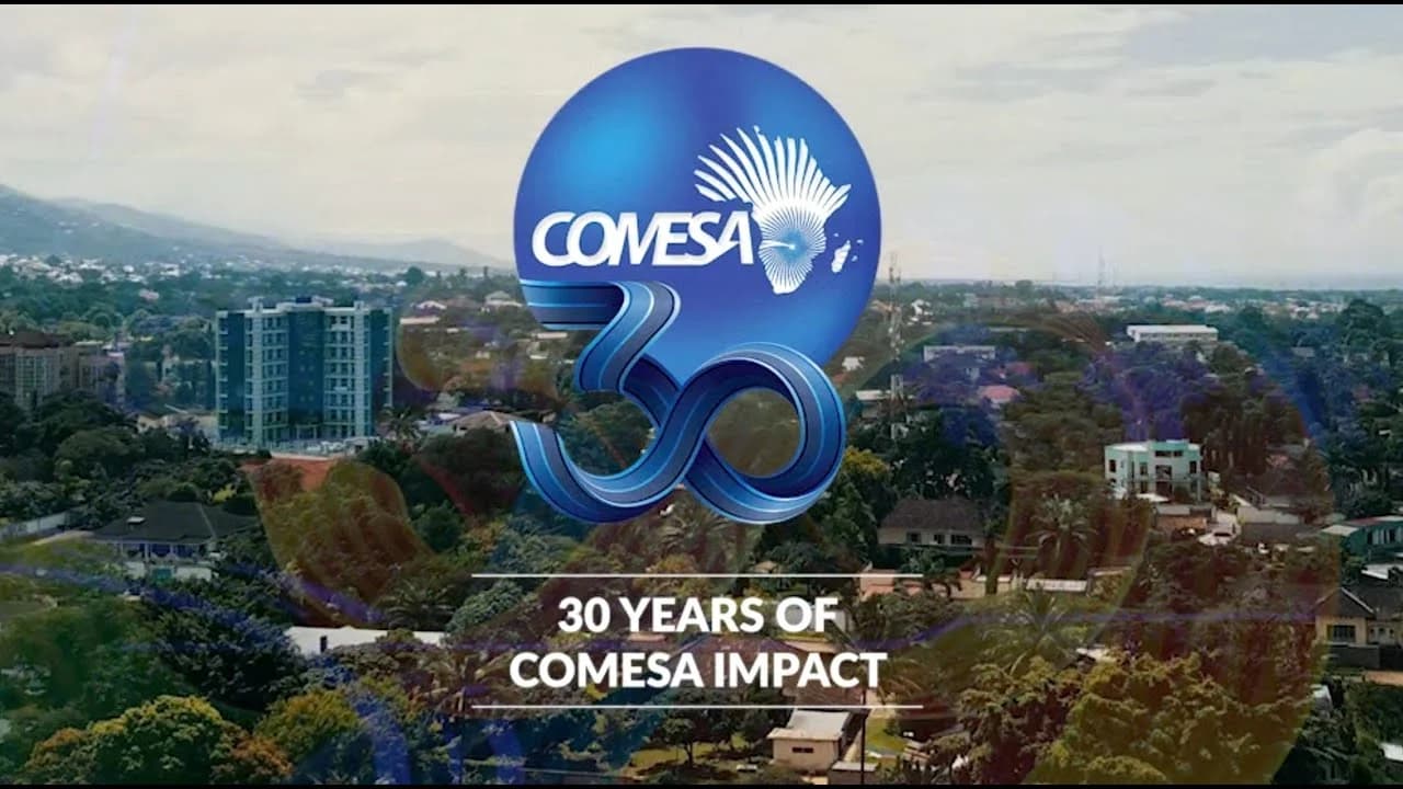 COMESA Summit: Quick Facts You Need to Know About COMESA