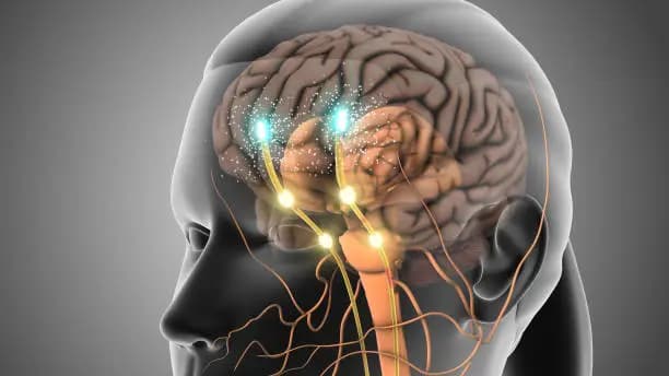 How to Improve Dopamine Levels Naturally