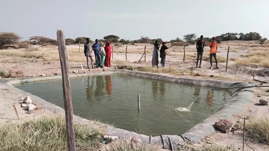 In Kenya’s Arid Region, Fish Farming is Surprisingly Taking Root