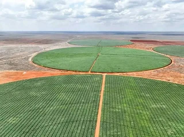 Two-month deadline set to resolve Galana-Kulalu boundary dispute