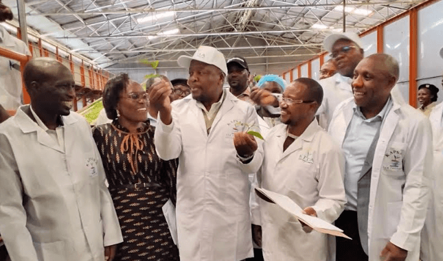Govt injects Sh44.6M to modernise Kapsara tea factory