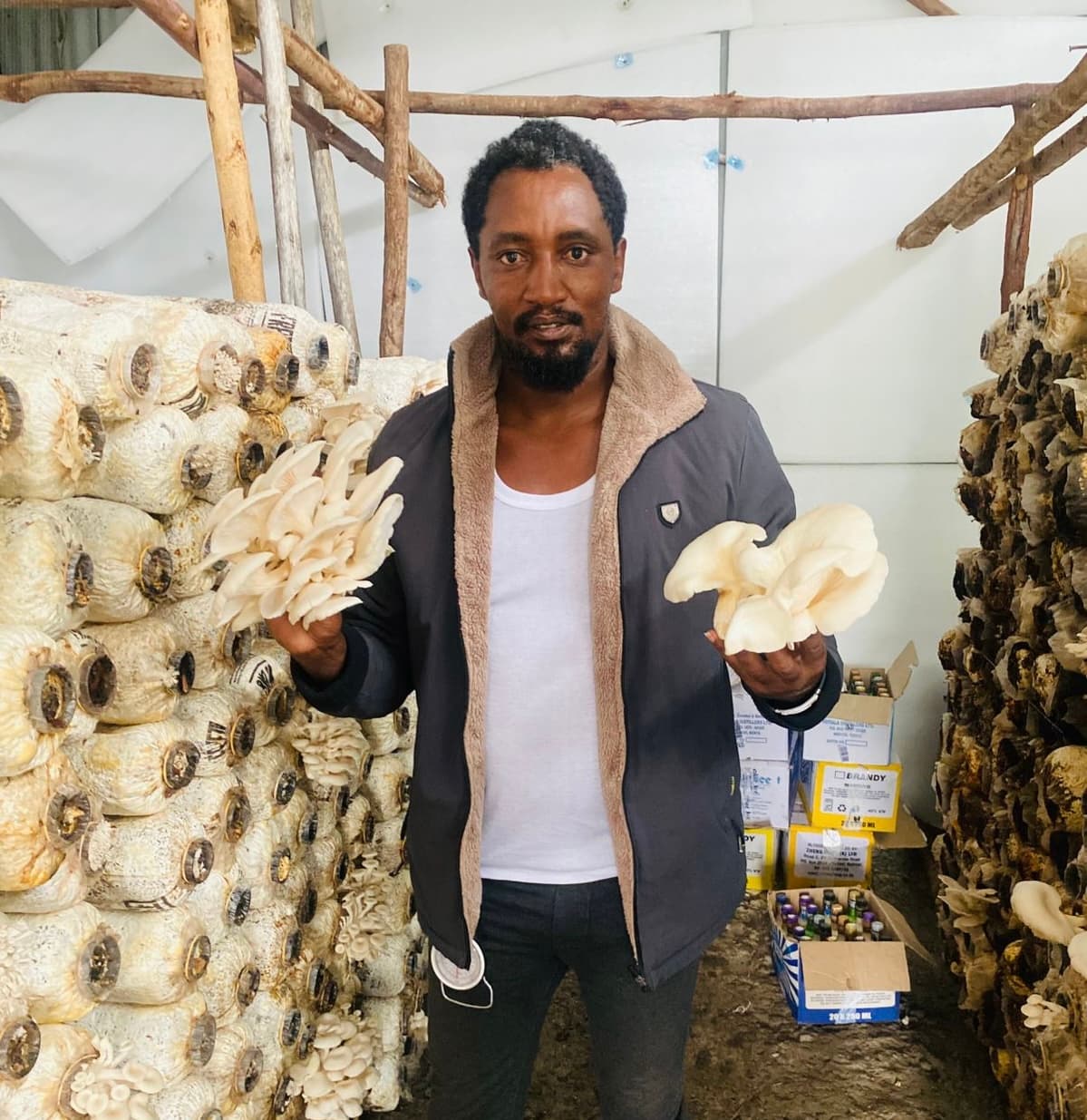 Farmer to launch super-earning pink oyster mushroom in Kenya