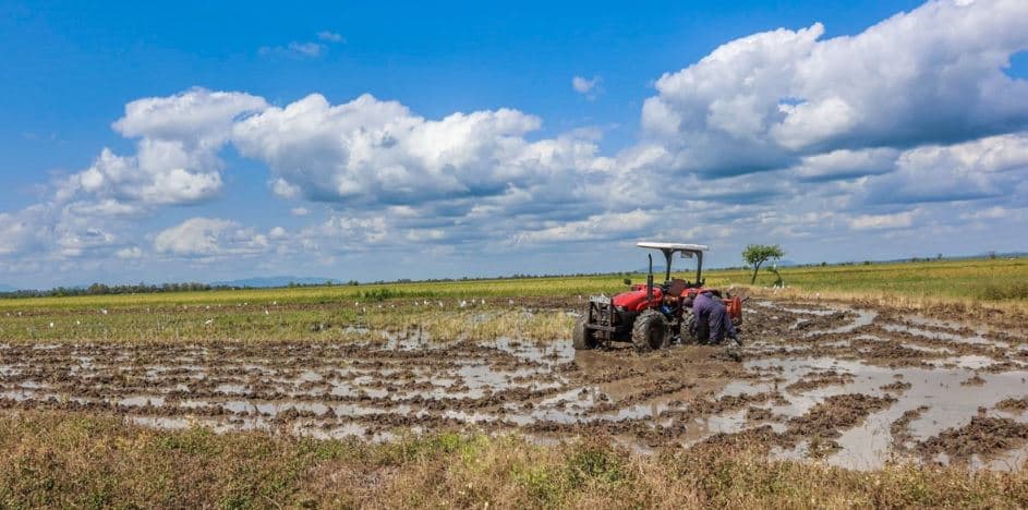 Govt Defends Duty-Free Rice Imports, Claims Farmers Won’t Be Sidelined