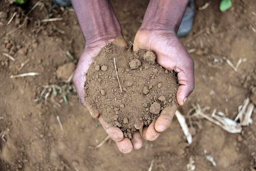 Dr Cary Fowler talks to FarmBizAfrica: Saving African soils may be only path to a future