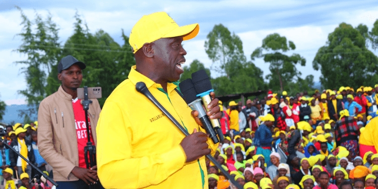 UDA’s David ‘Dollarline’ Keter Wins Emurua Dikirr Parliamentary By-Election