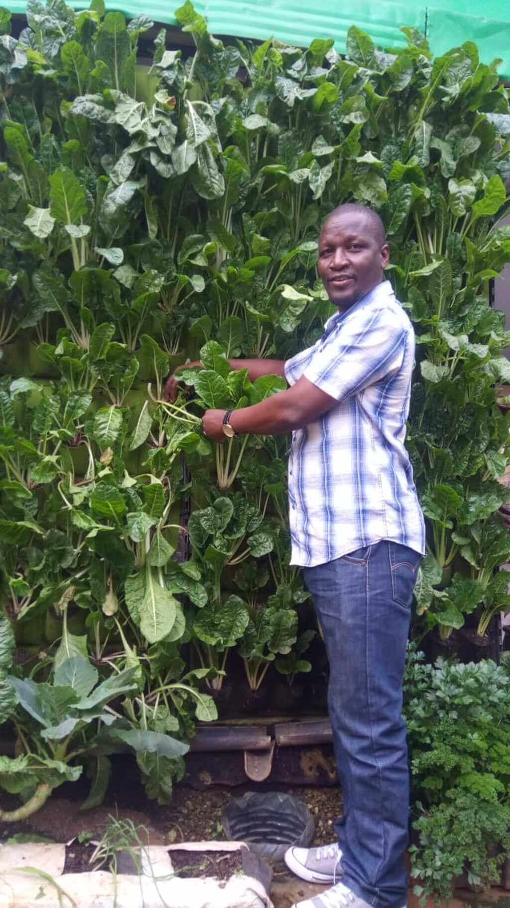 Fact sheet: How to make a vertical sack garden