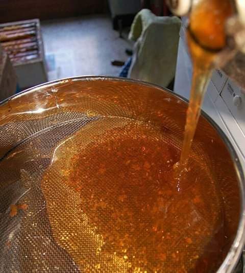 Honey marketer looking for more beekeepers to satisfy the lucrative Arab market