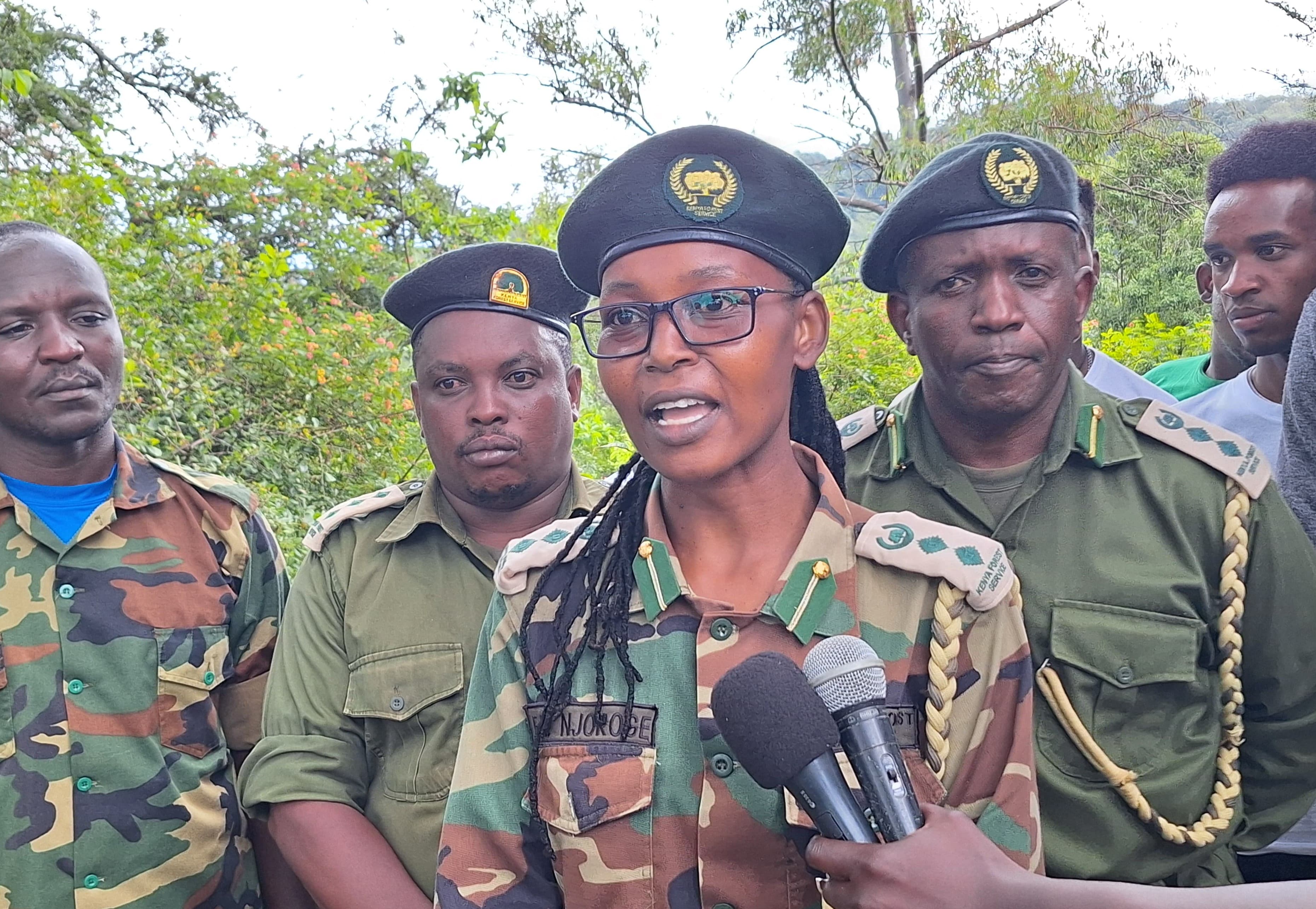 Murang’a gears up to plant 200,000 trees in one-hour national drive