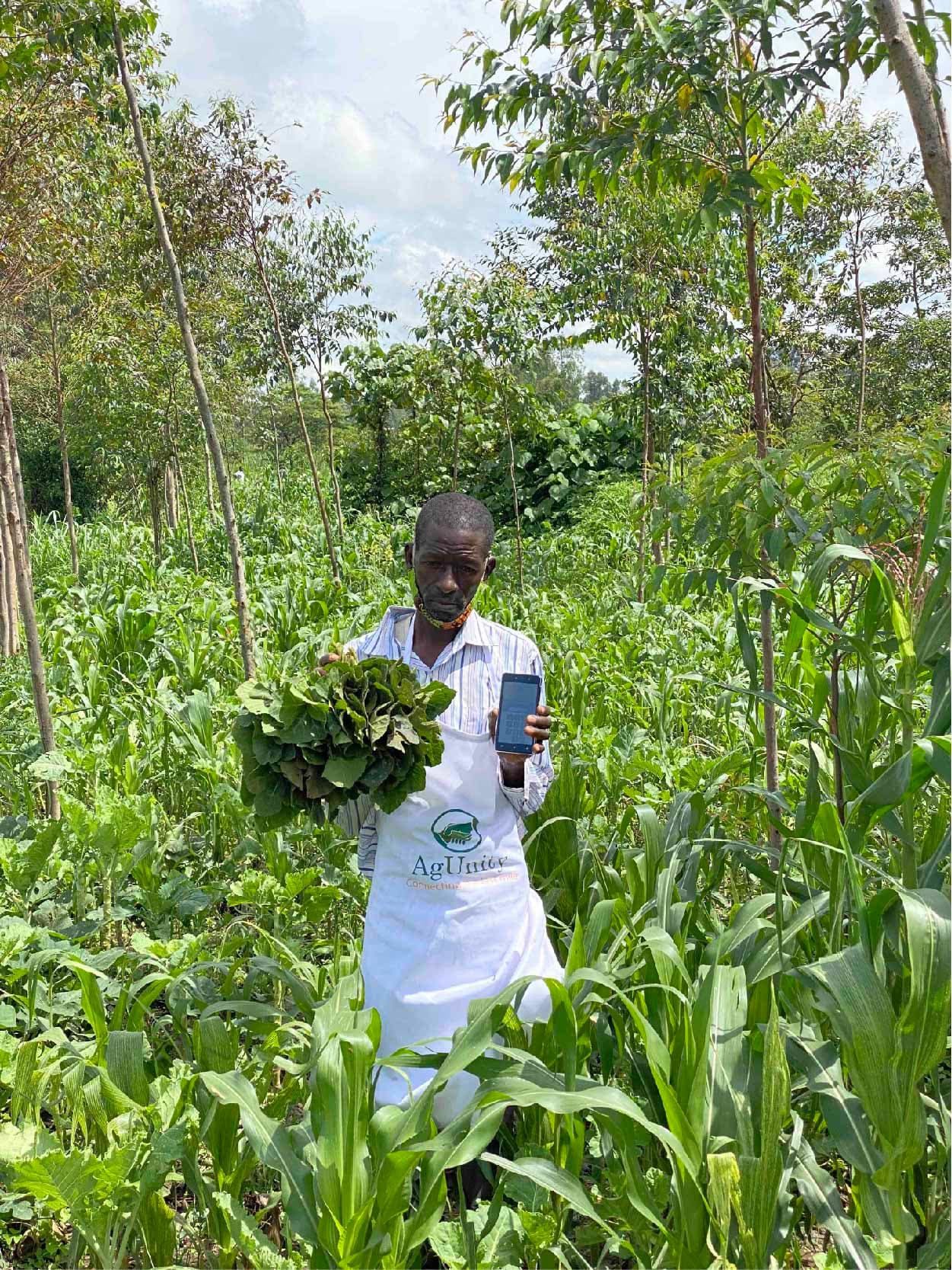 Agriculture social coding event seeks digitised solutions in indigenous vegetable value chain