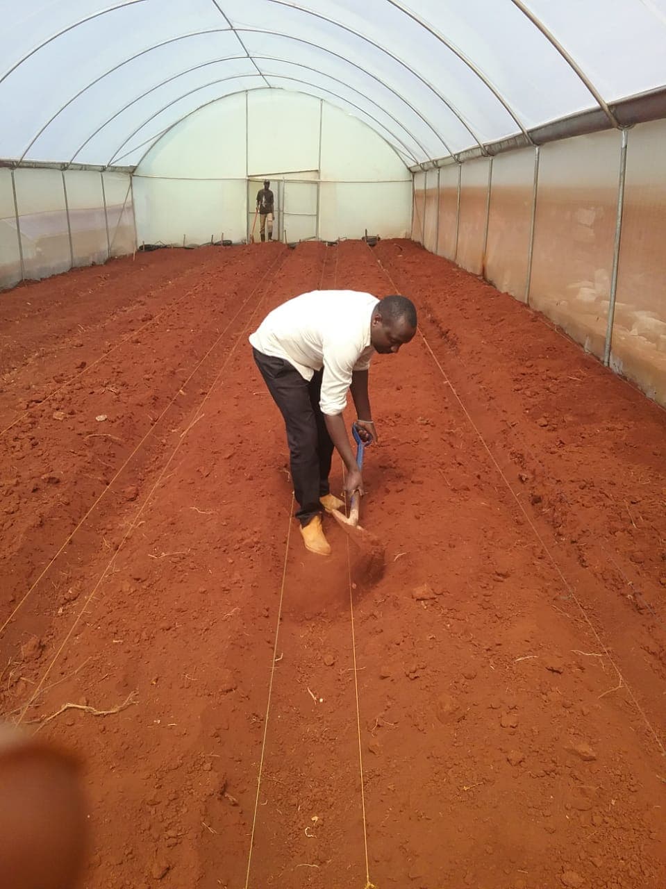 Israeli trained agronomist teaching farmers on crop production