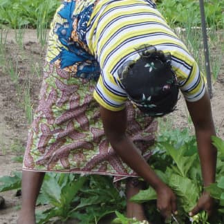Farmers increase production 50% through professional information sharing