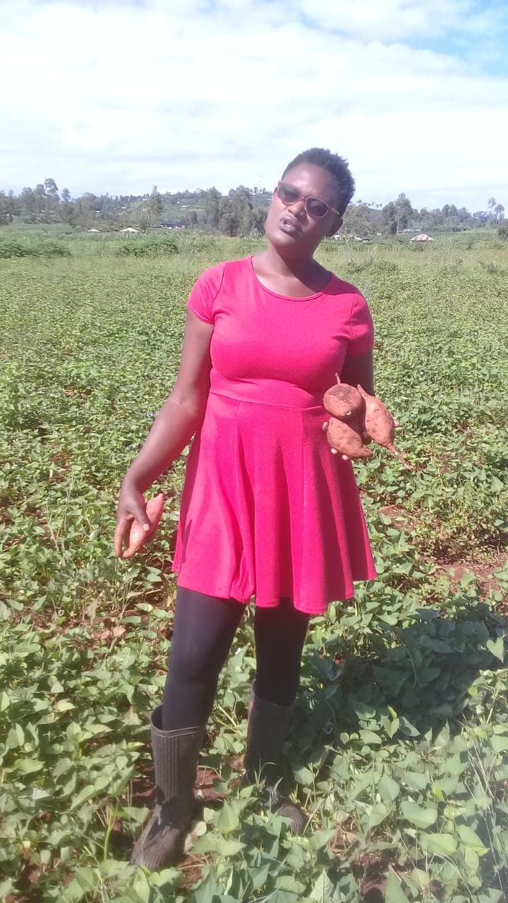 Former Brookside employee earns up to Sh200,000 an acre from sweet potato farming