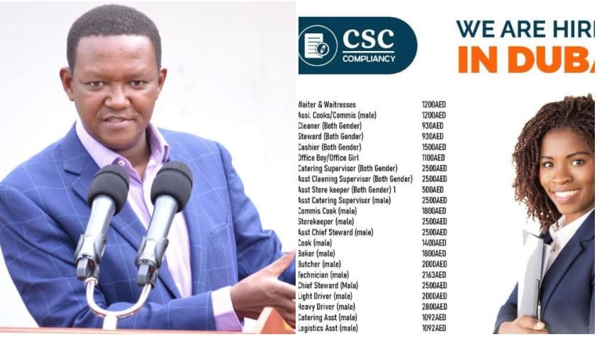 Jobseekers Beware: CS Mutua Takes Action Against Unregistered Dubai Jobs Agency