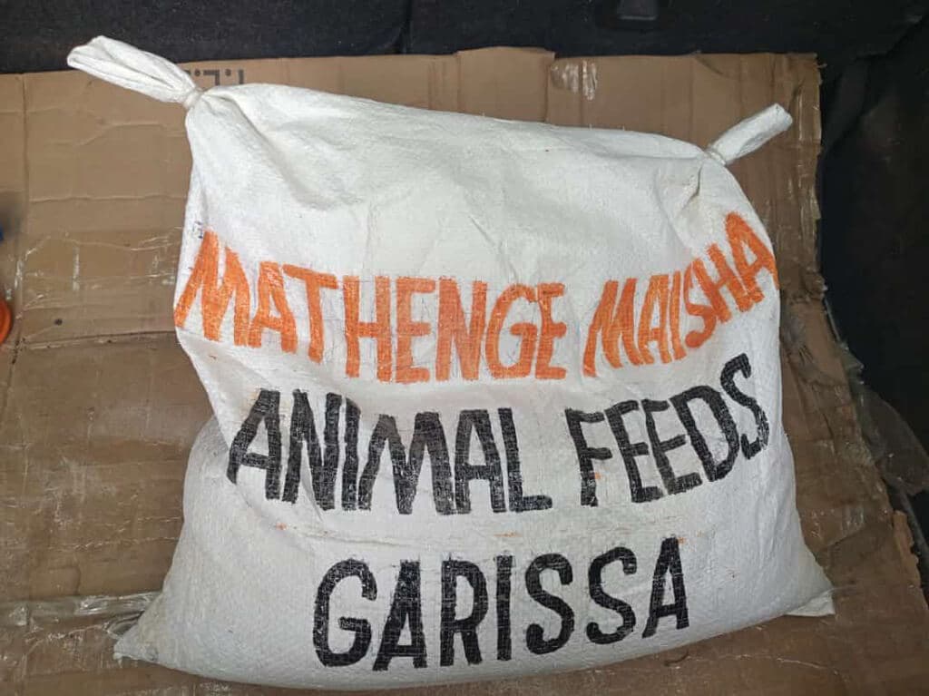 Pastoralists spin poisonous Mathenge weed into nutritious drought feed