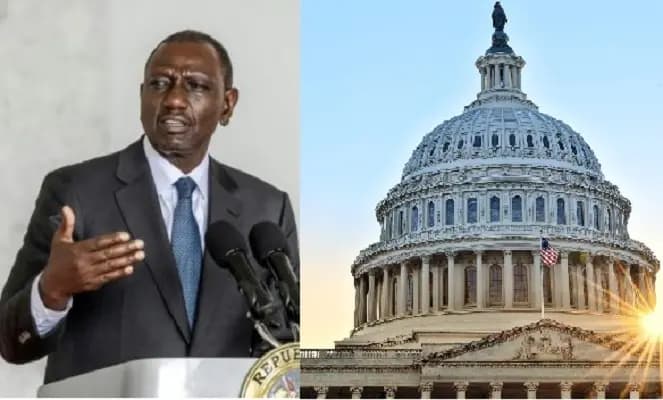 Ruto’s congressional snub: African diplomats side hustles to blame