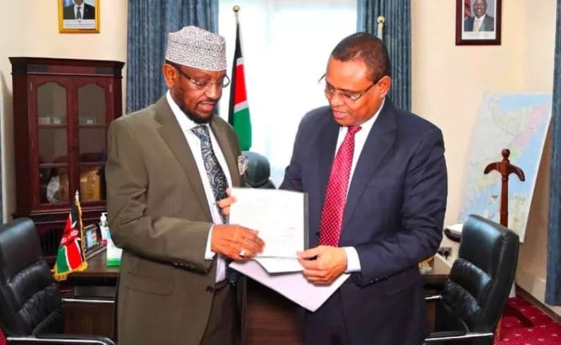 Somalia’s Deputy PM Surrenders Kenyan Passport Amid Diplomatic Tensions