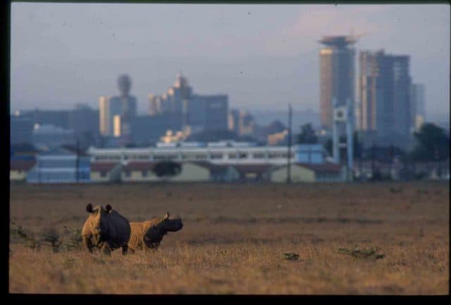KWS announces new park fees effective October 1, 2025