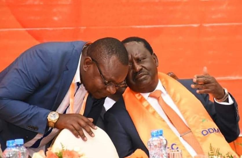 Luhya Community Cannot Take Advice from Gachagua – Etale