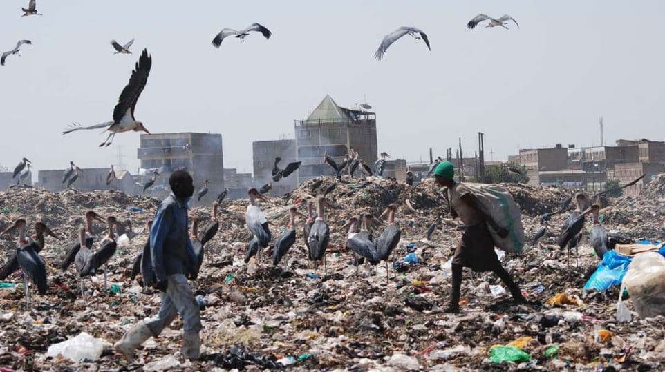 Kenyans Face Penalties for Failing to Sort Garbage Under New Environmental Law