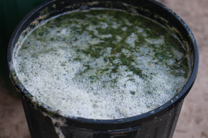 Making cheap homemade fertiliser in under 1 week