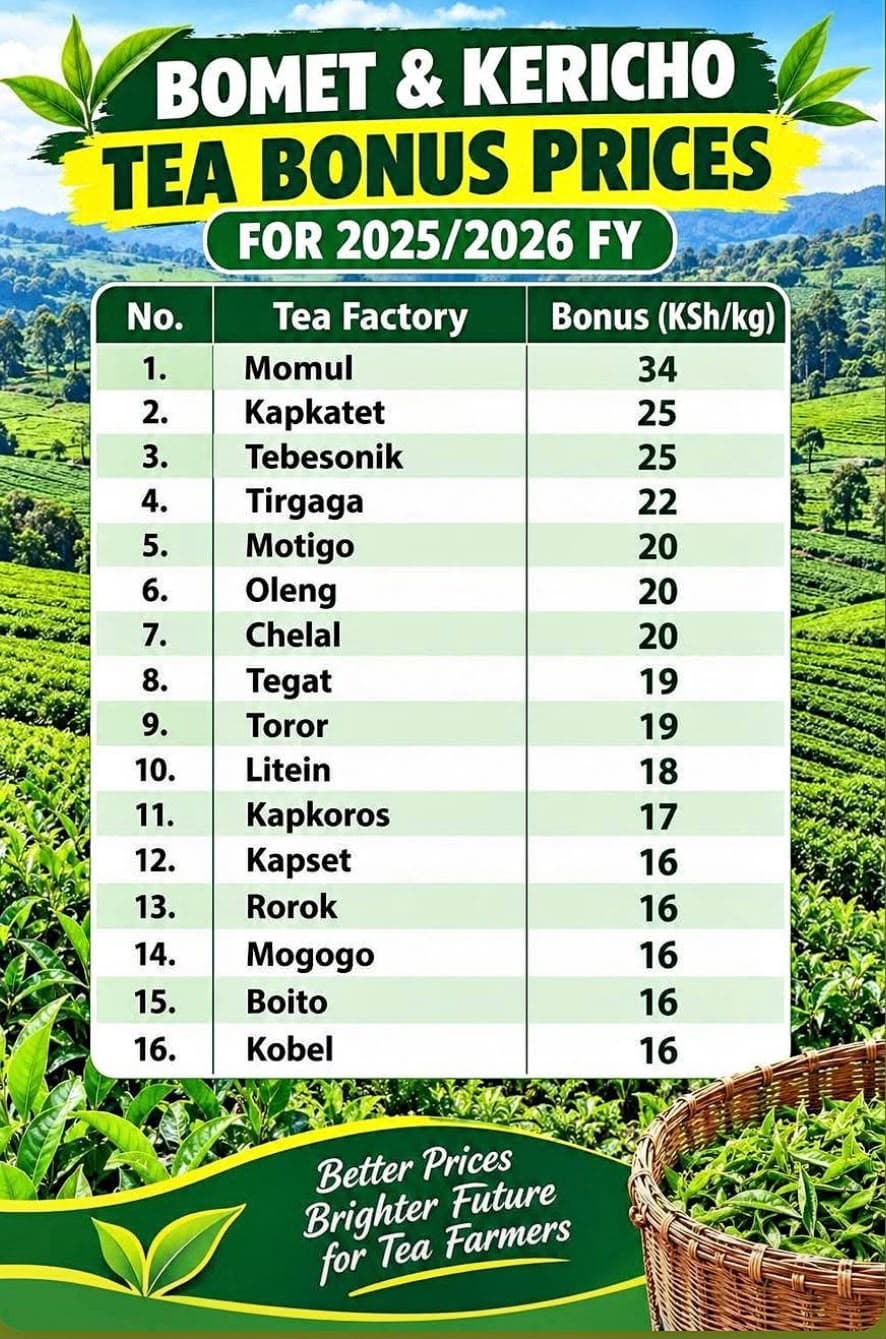 Tea farmers in Kericho set to receive bonuses of up to Sh34 per kilogramme