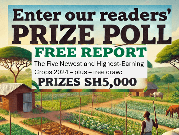 Enter our prize poll: free report and Sh5,000 draw