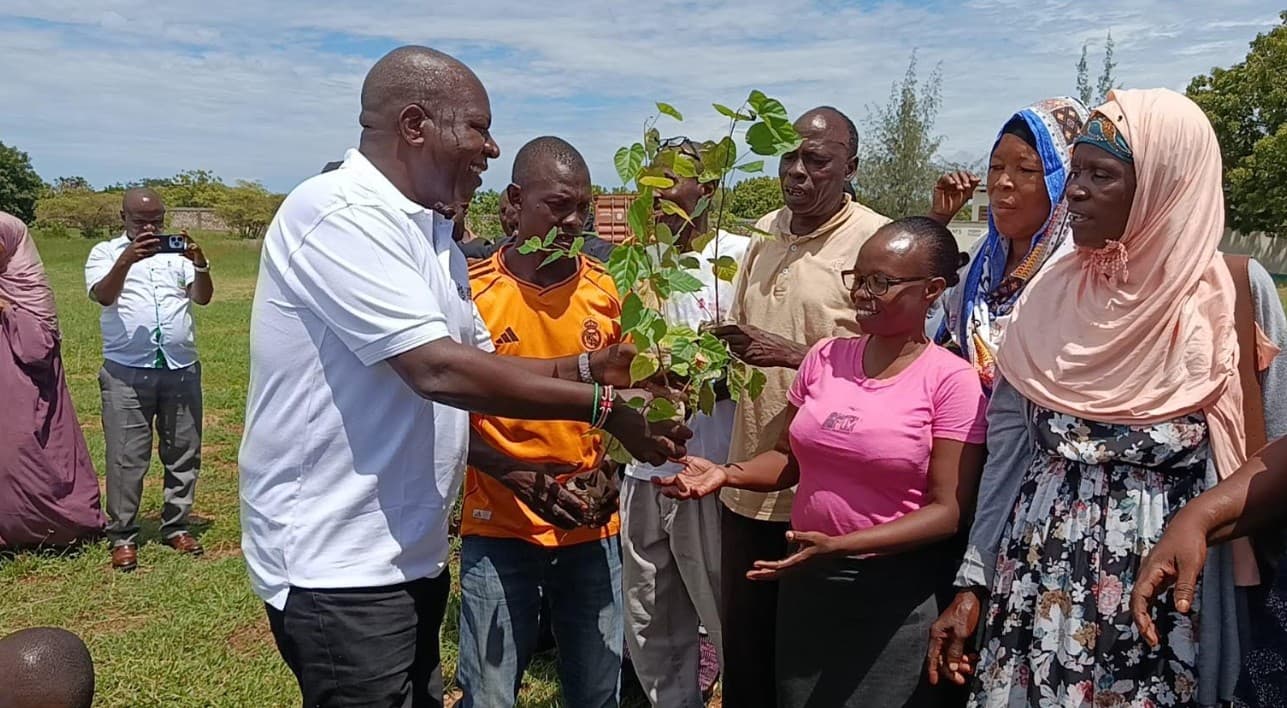 Farmers urged to boost cotton production to sustain new ginnery