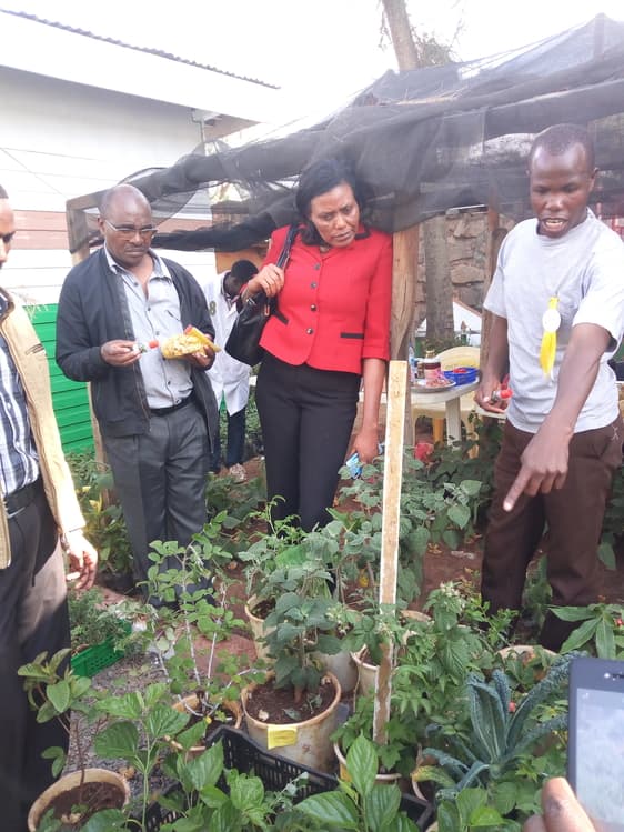 Increased market demand excites Tigoni gooseberry producer