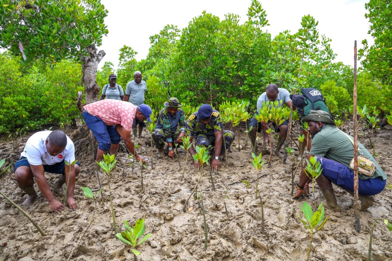Kenya Navy plants 10,000 Mangroves in Kwale, bolstering coastal ecosystem