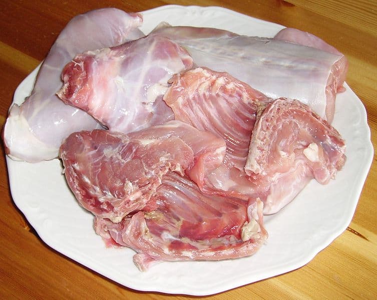 Factsheet: Selecting the best breeding rabbits for meat – Part 1