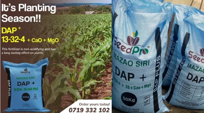 USAID pledges $9.95M to strengthen Africa’s Seed Systems