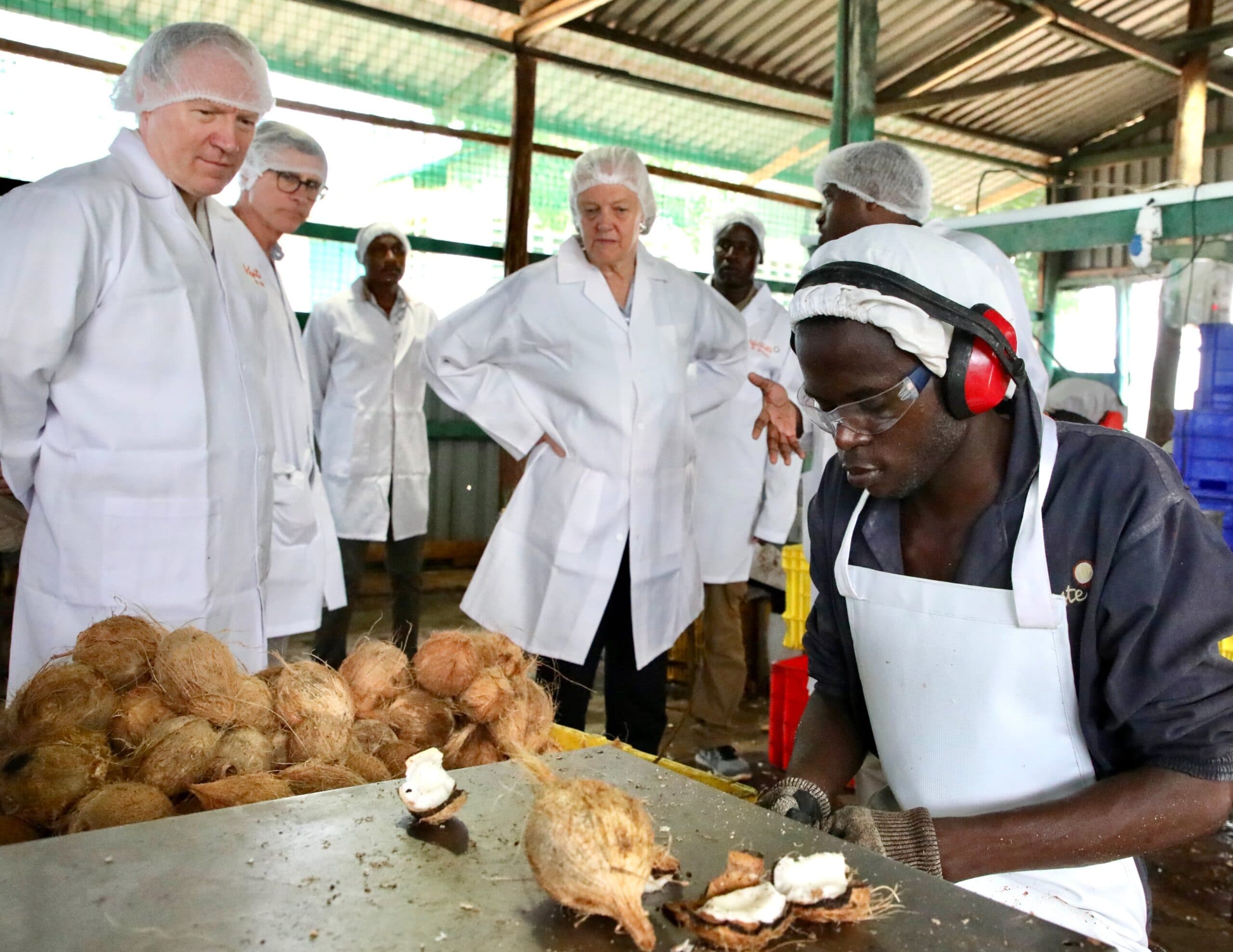 4,500 Kenyan coconut farmers get ready market from US govt partnership with local processor