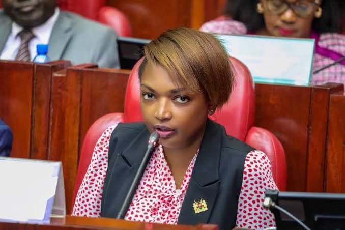 Nyamu raises alarm over alleged intimidation of UDA supporters in Mt Kenya