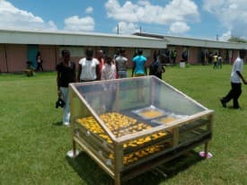 Farmers stem food waste with low cost drying technologies