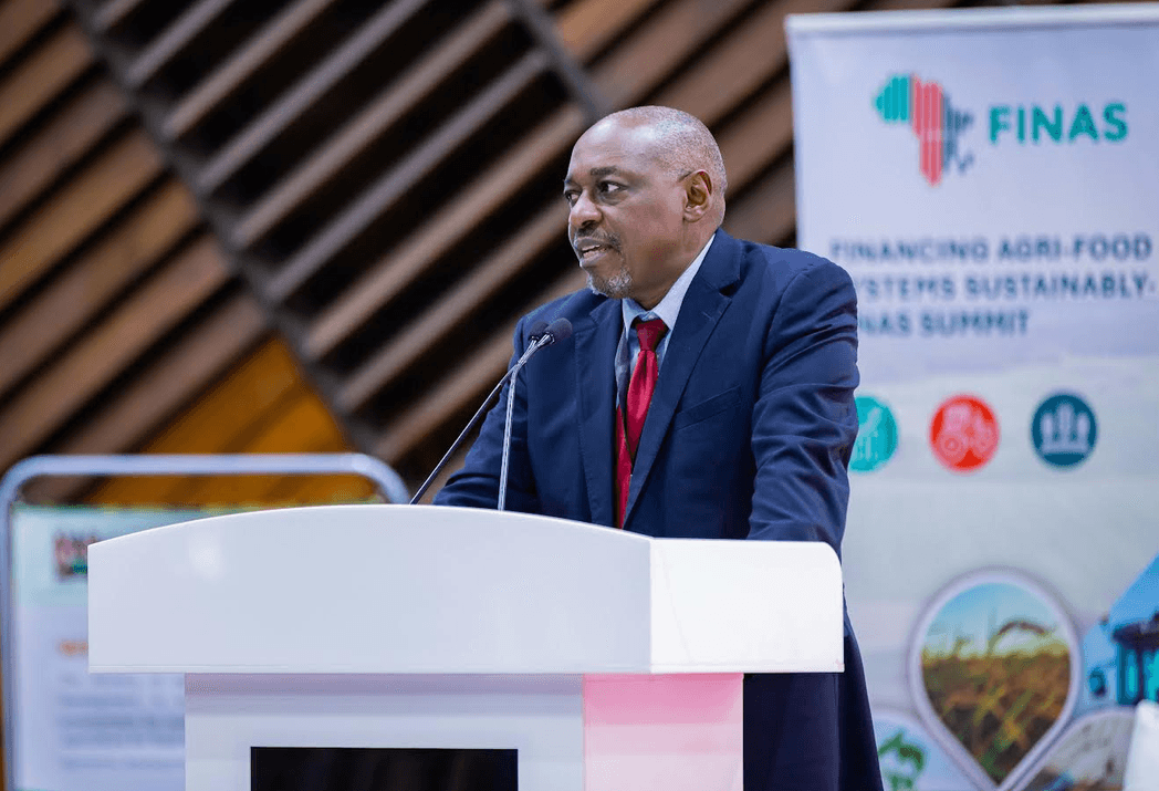 Africa urged to reform agricultural financing to boost food security