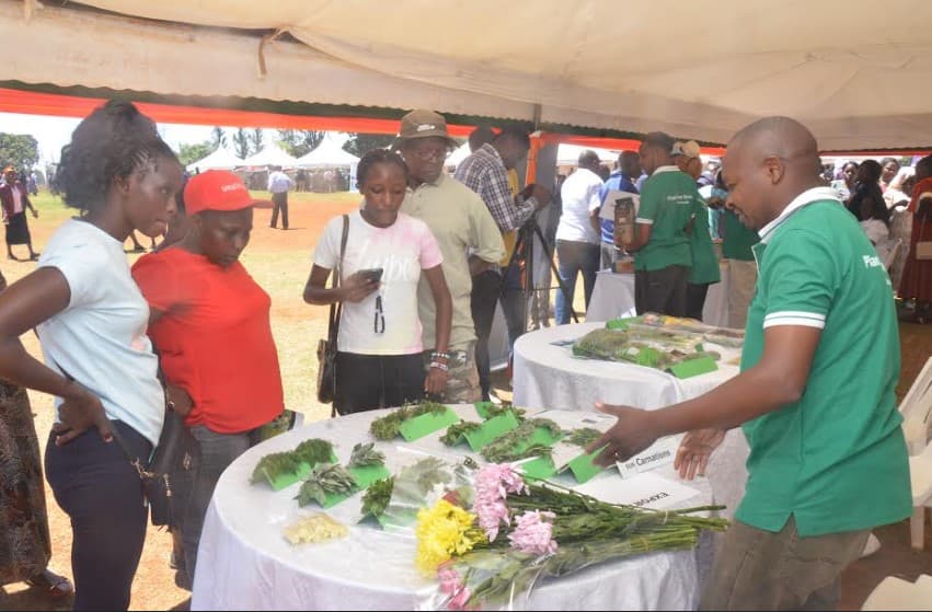 Expo urges youth to embrace agriculture amid ageing farmers