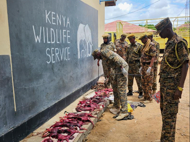 KWS intercepts wildlife meat in Tana River, warns against poaching