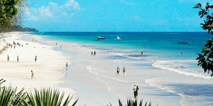 Diani, Lamu, and Watamu Top Coastal Hotspots Where Land Prices Have Surged (FULL LIST)
