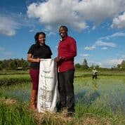 FarmBiz TV:Coffee husk fertiliser lifts farmers’ yields by a third.