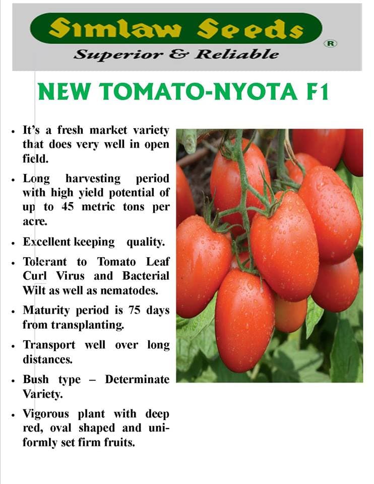 Simlaw Seeds introduces new high yielding tomato variety