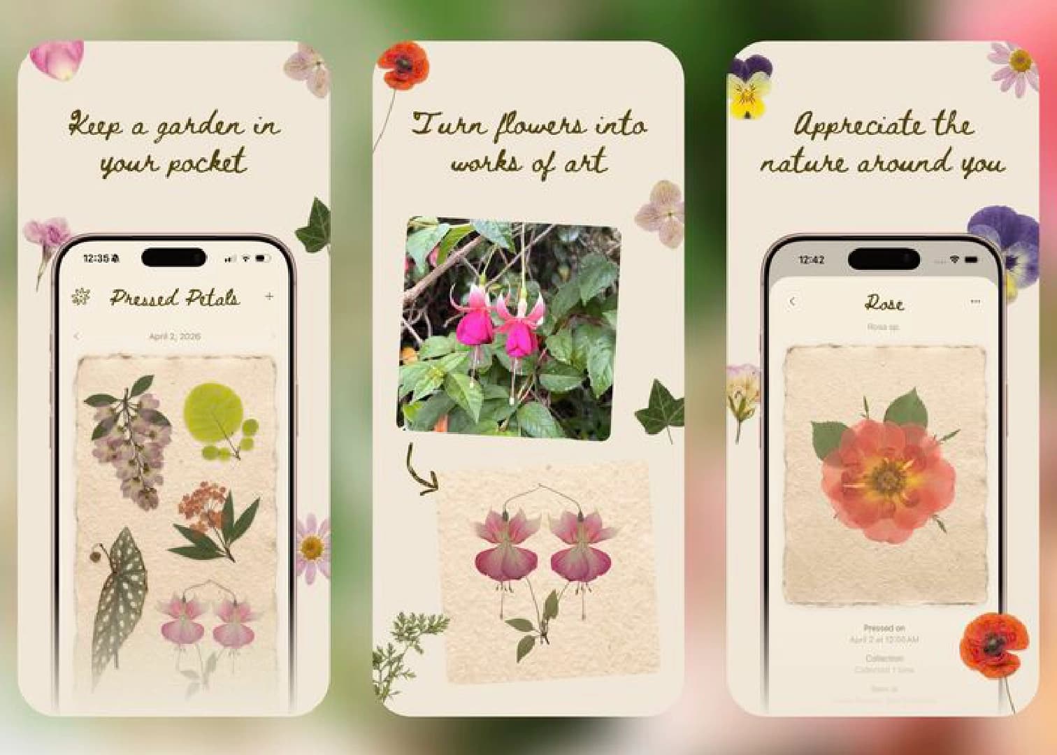 Meet Pressed Petals: A Botanical Journal App