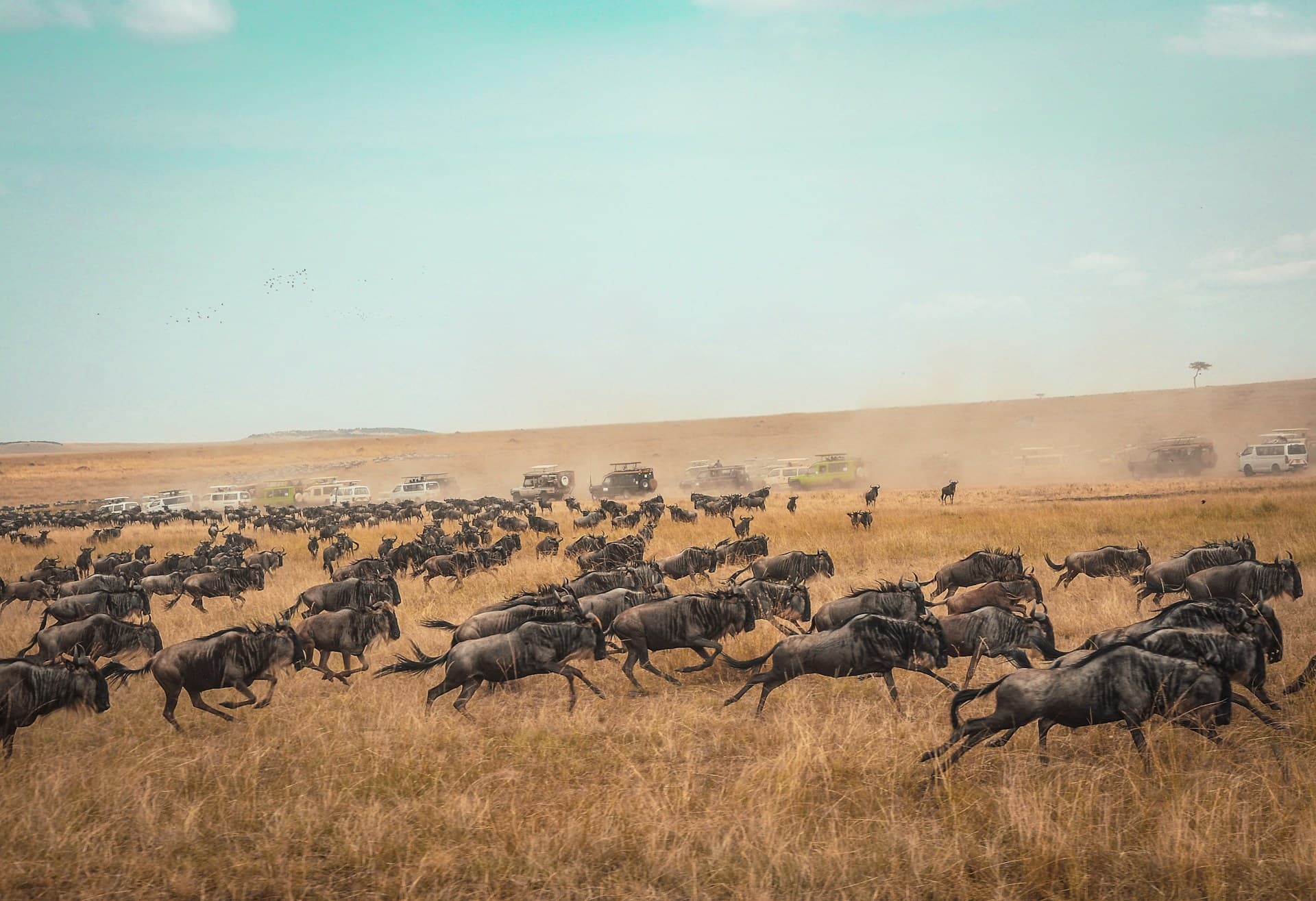 Kenya Tourism Board joins Africa PR Week as lead destination partner