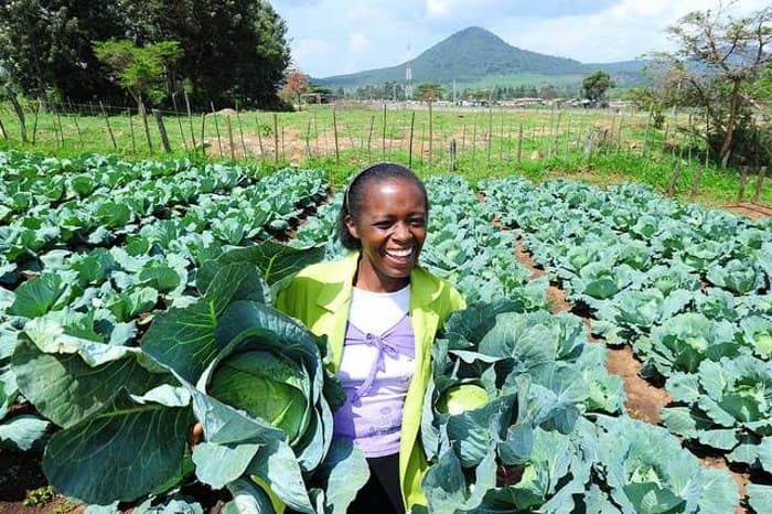 Government to sponsor 118 fresh agriculture graduates to undertake internship in Israel