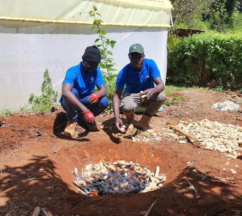 Kakamega farmer doubles maize harvest making his own biochar