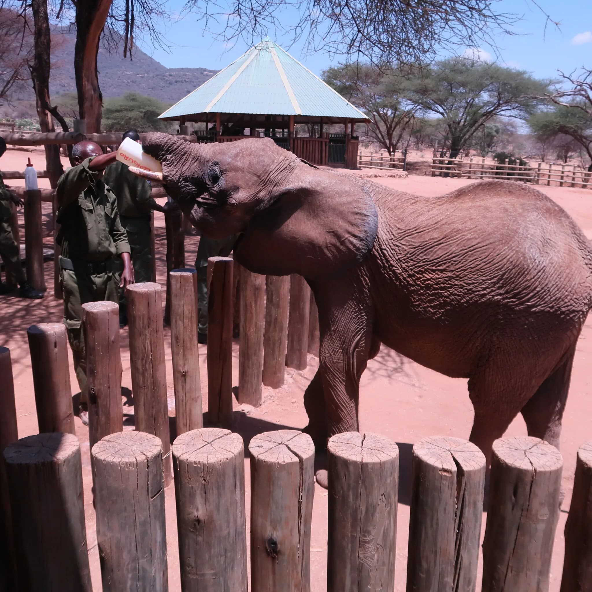 How Northern Kenya is building a circular economy through sustainable tourism
