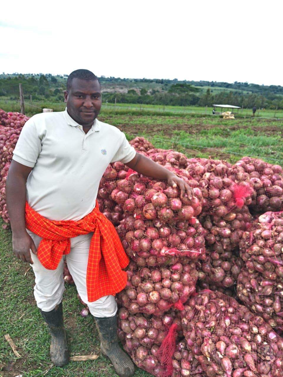 Narok group buying red onions from all-comers