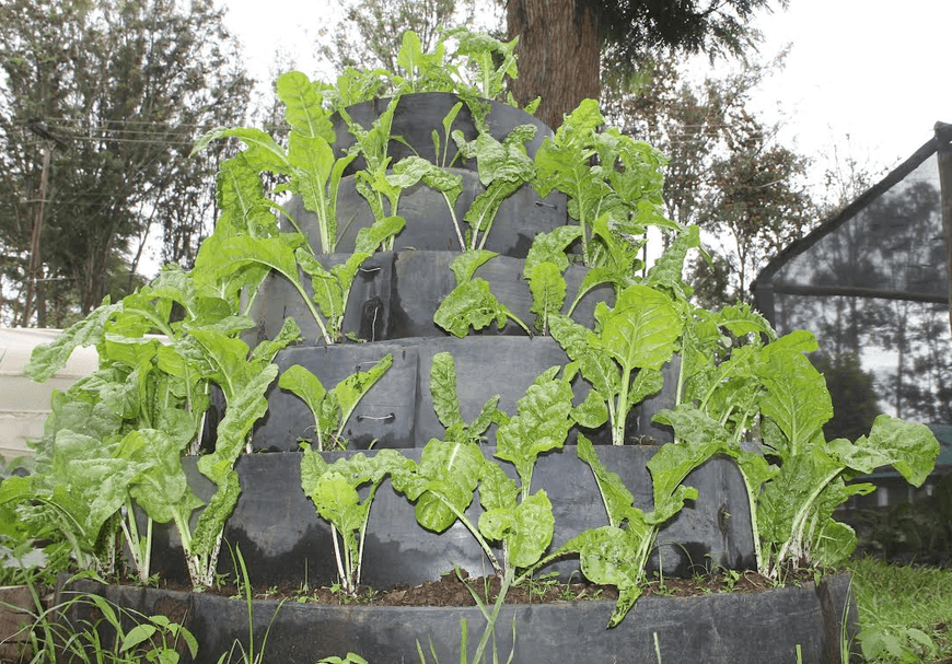 Agro-ecology policy to promote organic farming in Laikipia