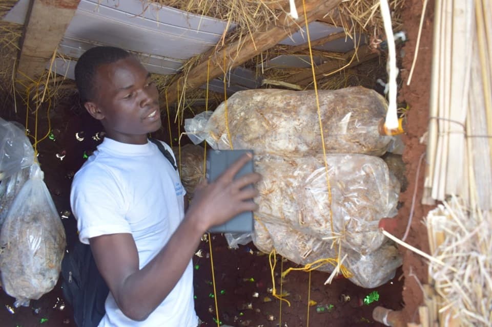 IT graduate ventures into mushroom farming, trains growers and link them to markets