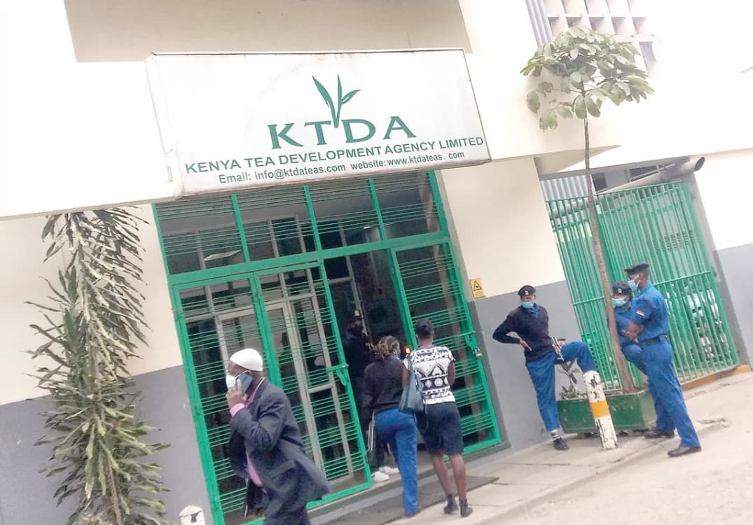 KTDA sets fertilizer transport rates for tea factories ahead of August deliveries