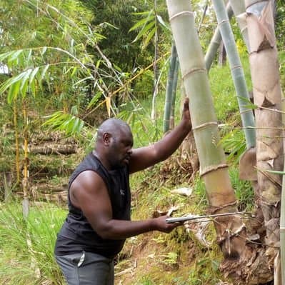 Bamboo Association of Kenya looks to get farmers growing, earning from bamboo